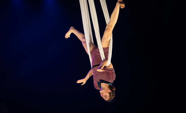 Circus Monti – «Bric Brac» Tickets