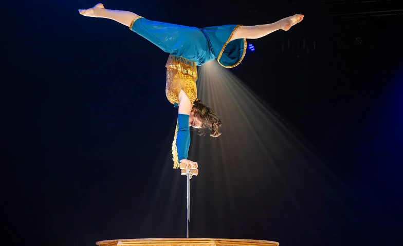 Circus Monti – «Bric Brac» Tickets