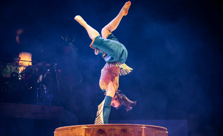 Circus Monti – «Bric Brac» Tickets