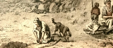 Event-Image for 'Museumstreff &laquo;Tierische Begleiter&raquo;'