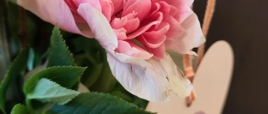 Event-Image for 'Muttertagsspecial'