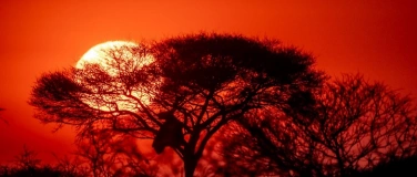 Event-Image for 'Aschi Widmers Namibia'