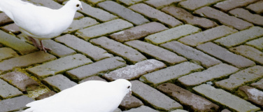 Event-Image for 'Nathan der Weise'