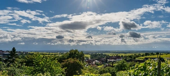 Event organiser of Natur Campus