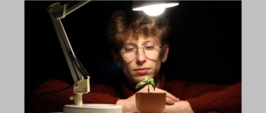 Event-Image for 'Neue Talente &ndash; Lipp, Kong, Egidi &ndash; Marimba & Violoncello'