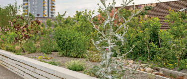 Event-Image for 'Neue Wildnis'