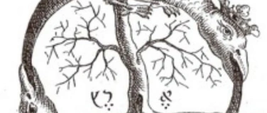 Event-Image for 'Neujahrsfest'