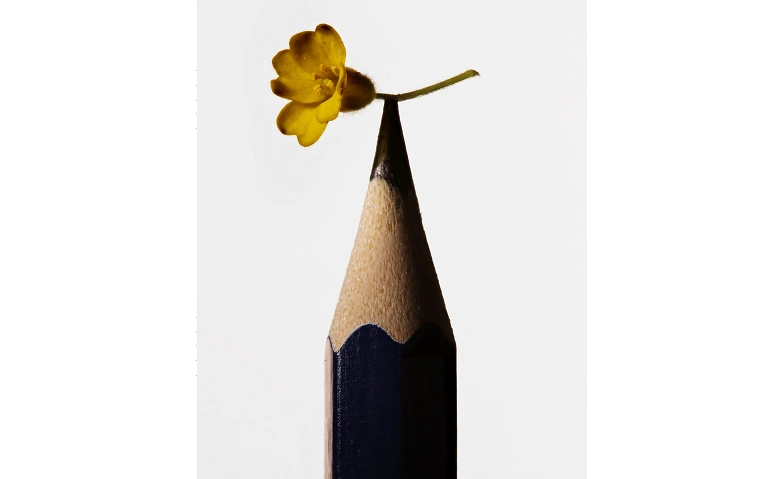 Pour tout faire, il faut une fleur Tickets