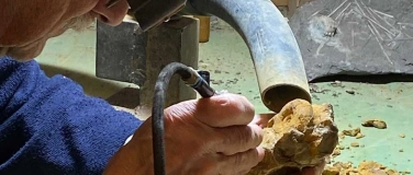 Event-Image for 'Ferienpass &laquo;Fossilien pr&auml;parieren&raquo;'