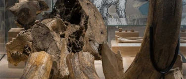 Event-Image for 'Abendführung «Paläontologische Schätze der Region»'