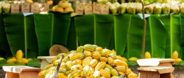 Event-Image for 'Input: Cocoa Reclaimed (incl. in admission)'