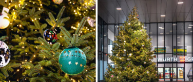 Event-Image for 'O Tannenbaum - Informationsabend und Materialausgabe'