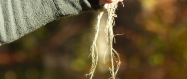 Event-Image for 'Aufbaukurs Brennnesselfaser: Vom St&auml;ngel zum Garn'