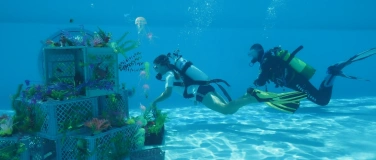 Event-Image for 'Schnuppertauchen 2026'