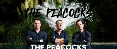 Event-Image for 'The Peacocks - Konzert im klub 8'