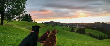 Event-Image for 'Mensch-Hund- Seminar _ Ruhe und Klarheit im Miteinander'