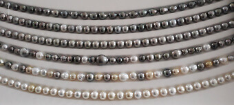 Event organiser of PERLENZAUBER - ZAUBERPERLEN