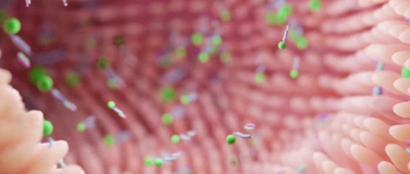 Event-Image for 'Die Haut als Spiegel. Ganzheitliche Hautgesundheit.'