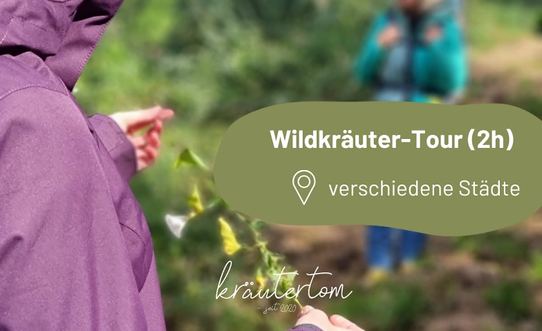 Wildkr&auml;uter-Tour (2h)  mit Nicole ${singleEventLocation} Tickets