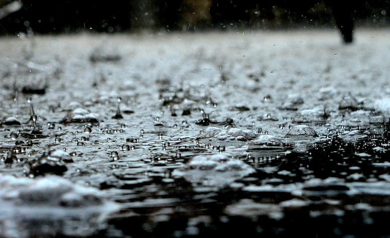 Event-Image for '«Regen – Eine Liebeserklärung» von Ferdinand von Schirach'