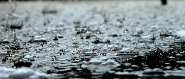 Event-Image for '«Regen – Eine Liebeserklärung» von Ferdinand von Schirach'