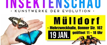 Event-Image for 'Insektenschau Kunstwerke der Evolution'