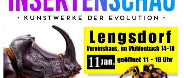 Event-Image for 'Insektenschau - Kunstwerke der Evolution'