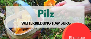 Event-Image for 'Pilz Weiterbildung für Einsteiger Hamburg'