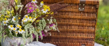 Event-Image for 'Kulturpicknick'