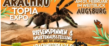 Event-Image for 'Arachnotopia - Spinnen und Insektenausstellung Augsburg'