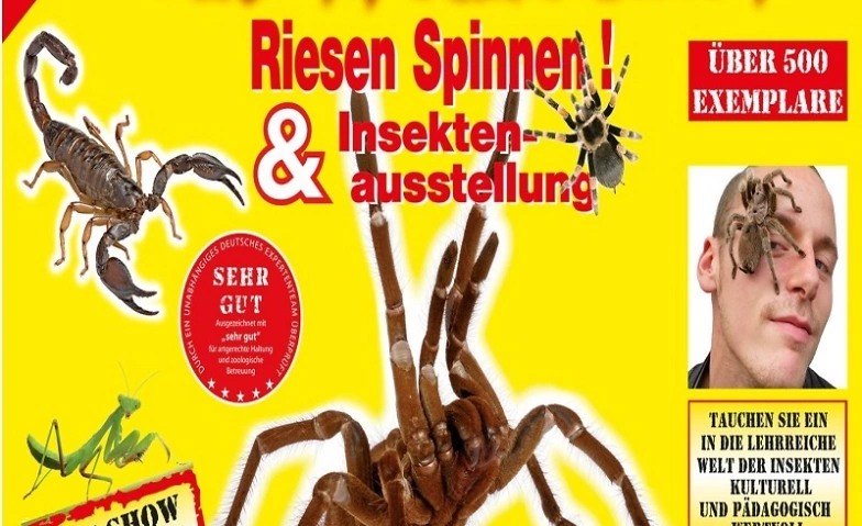 Insectophobie Riesen Spinnen &amp; Insekten Ausstellung ${singleEventLocation} Billets