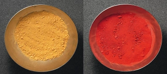 Veranstalter:in von Workshop 2: Farben-Workshop Wiese & Wald