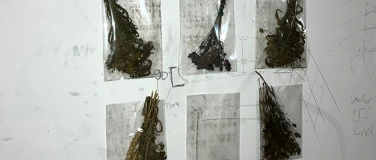 Event-Image for 'Die Wand mit Lars Luginbühl'