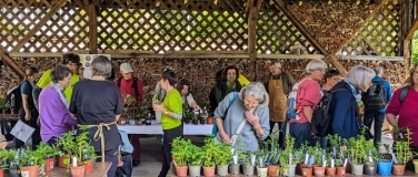 Event-Image for '6. Pflanzenb&ouml;rse im Kloster Wesemlin'