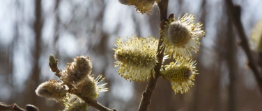 Event-Image for 'Im Fr&uuml;hling neue Kraft sch&ouml;pfen'
