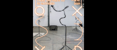 Event-Image for 'Beginnings Without Ends or Still There Are Seeds To Be Gathe'