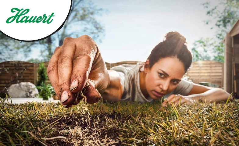 Formation sur le gazon Hauert Bienne HORNBACH Biel/Bienne, rendez-vous: information principale Tickets