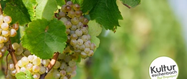 Event-Image for 'Rebenfest Eschenbach'