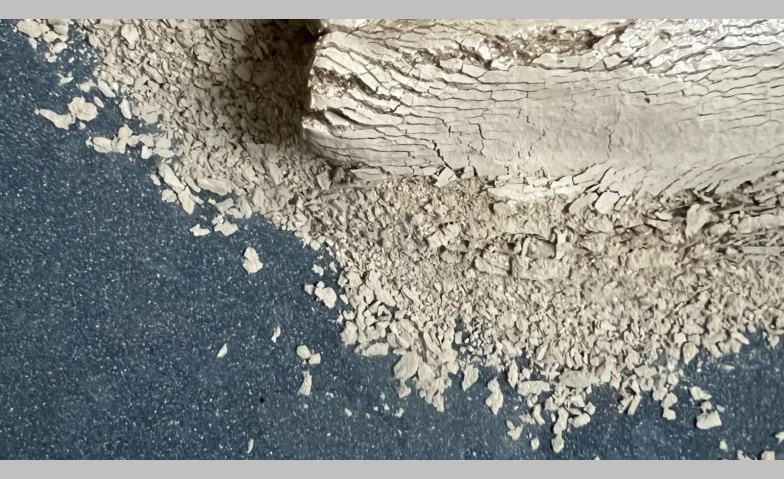 Event-Image for 'rest:los   (carte blanche)'