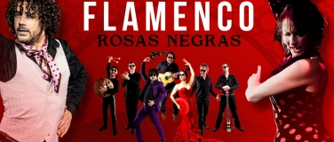 Event-Image for 'FLAMENCO - ROSAS NEGRAS'