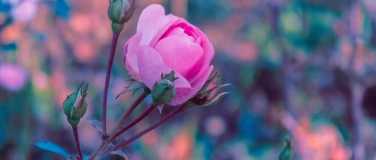 Event-Image for 'Konzert'