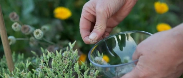 Event-Image for 'PSR Kurs: Samenbaukurs für Einsteiger:innen'