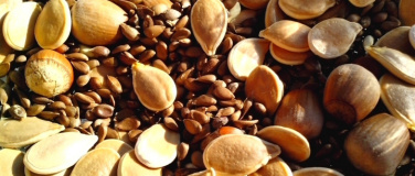 Event-Image for 'Samentausch und Olivenölvortrag mit Degustation'