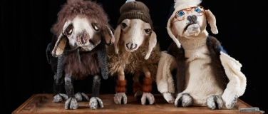 Event-Image for 'Soko Schafskopf Ermittelt'