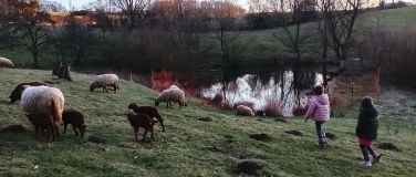 Event-Image for 'Flohmarkt auf dem Hof Kotthausen Sonntag, den 31. Mai 2026'