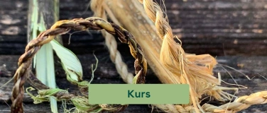 Event-Image for 'Brennnessel-Magie: Von der Wildpflanze zum feinen Faden'