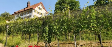 Event-Image for 'Ausstellung Käser/Kreier/Müller/Stiner'
