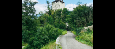 Event-Image for 'Schloss und Museen'