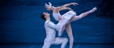 Event-Image for 'Schwanensee - International Festival Ballet & Orchester'