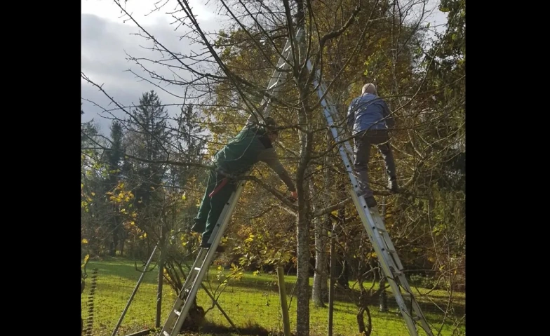Gartenbauverein Lenzburg & Umgebung Tickets